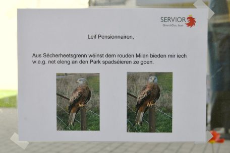 Die Verantwortlichen des CIPA in Düdelingen sahen sich dazu veranlasst, die Bewohner vor dem Rotmilan zu warnen