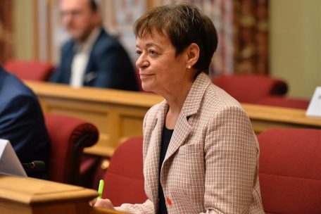 Josée Lorsché, Grünen-Abgeordnete