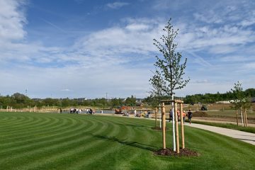 Park „Ban de Gasperich“ / Eine Oase nimmt Form an: Der größte Park der Gemeinde soll in einem Jahr öffnen