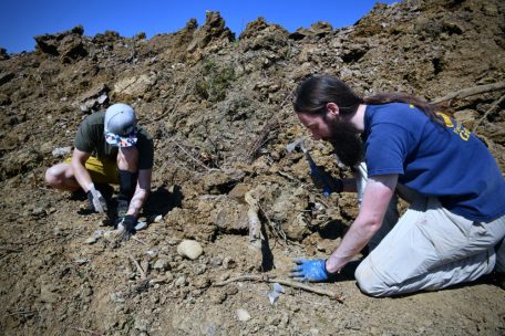 Paläontologen bei der Arbeit