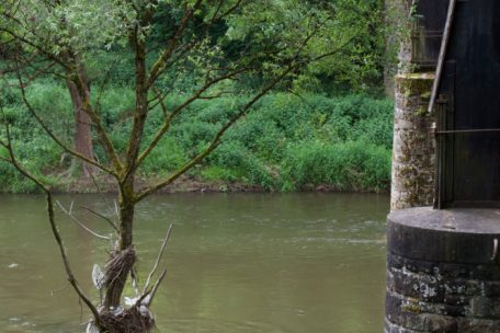 Blick von Deutschland in Richtung Weilerbach (L), wo die Flussufer deutlich sauberer sind