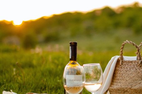 Nach Feierabend ein Picknick? Dafür muss man nicht weit reisen – eine Decke, etwas zum Essen und Trinken, schon steht die Grundausrüstung für den Ausflug ins Grüne.