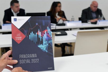 Panorama social / Croissance inégalitaire
