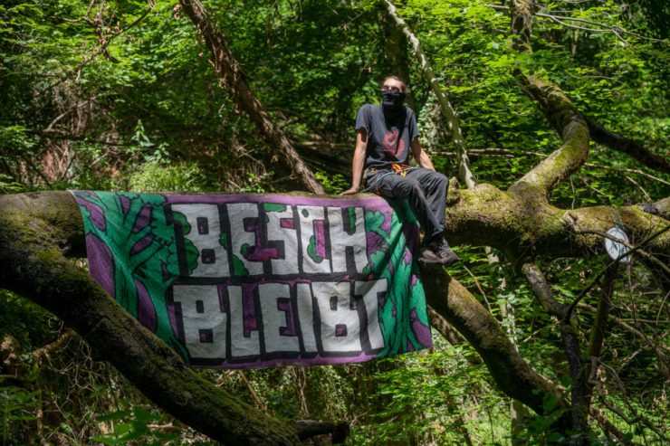 Grenzregion / „Besch bleibt!“: Seit gut einem Jahr halten Aktivisten ein Stück Wald bei Trier besetzt