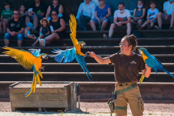 Ausflug nach Frankreich / Der Zoo in Amnéville