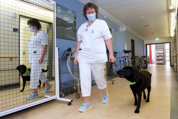 Gesundheit / Unterstützung auf vier Pfoten: Wie eine Hündin im Wiltzer Spital bei der Krankenversorgung hilft 