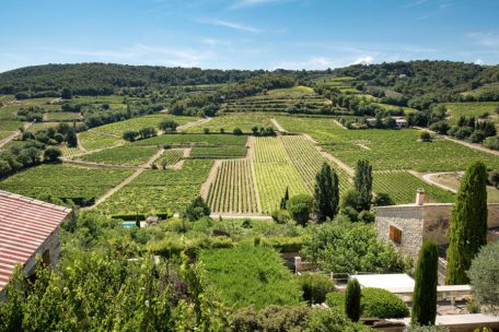 Lavendel, Wein und Oliven werden in der Provence angebaut, jedoch ist Frankreich im Vergleich ein verhältnismäßig kleiner Produzent von Olivenöl