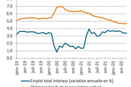 Die Entwicklung der Arbeitslosenquote und das Wachstum der Beschäftigung