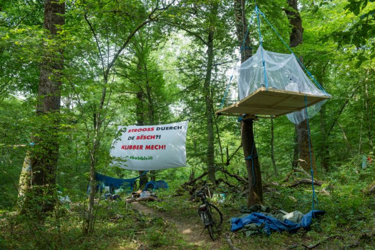 Verkehrspolitik  / In Bascharage protestieren Waldbesetzer gegen Umgehungsstraße: „Ich mache mir Sorgen um das Klima“ 