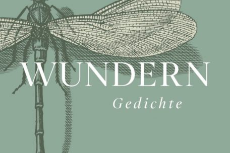 Sabine Schiffner<br />
„wundern“<br />
Quintus-Verlag 2022<br />
112 S., 15 Euro