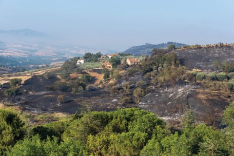Italien, Cinigiano: Brandspuren sind am Berg Amiata zu sehen. Dort sind verheerende Schäden entstanden. Nach Angaben der italienischen Feuerwehr mussten mehr als 500 Menschen ihre Häuser vorübergehend verlassen, weil die Gefahr bestand, dass die Flammen auf den Ort übergreifen