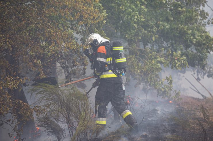 Waldbrände / Sind Luxemburgs Wälder von Feuer gefährdet?