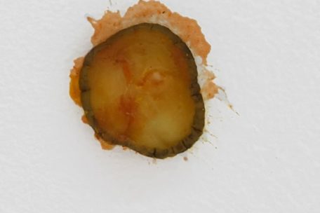 Für sein Werk verlangt Griffin umgerechnet rund 6.150 Euro