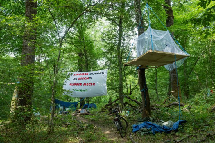 Niederkerschen / „Bobi bleift“ beendet Waldbesetzung – und lädt Regierung zu Waldspaziergang ein