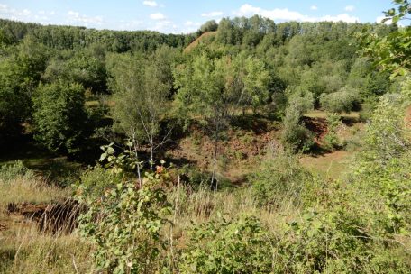 Die einstige Mondlandschaft wurde inzwischen wieder von der Natur zur&uuml;ckerobert. Das Foto zeigt in etwa die gleiche Sicht, wie sie im Aufmacherbild zu sehen ist.