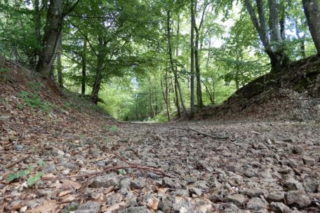 Vor dem &bdquo;Kayler Poteau&ldquo; verl&auml;uft der Fu&szlig;weg &uuml;ber die Schlacken der Tram-Trasse