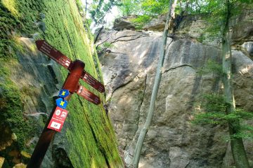 Sommerserie / Unsere Lieblingsorte (3): Abenteuer pur – ein Wochenende auf dem Müllerthal-Trail