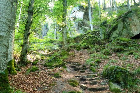 Wegen des ständigen Auf und Ab wird es auf dem zweiten Streckenabschnitt etwas schweißtreibender