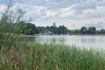 Saarland / Der Losheimer See bietet lauschige Plätze und Camping 2.0