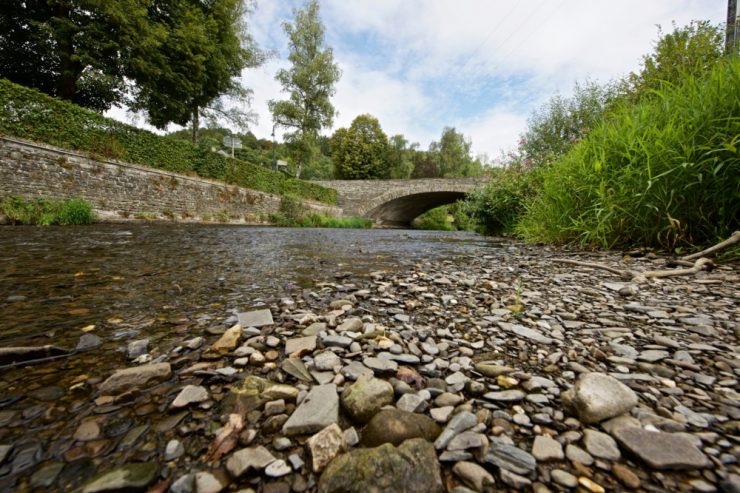 „Besorgniserregend“ / Luxemburger Flüsse leiden unter Dürre – verschiedene davon sind ausgetrocknet