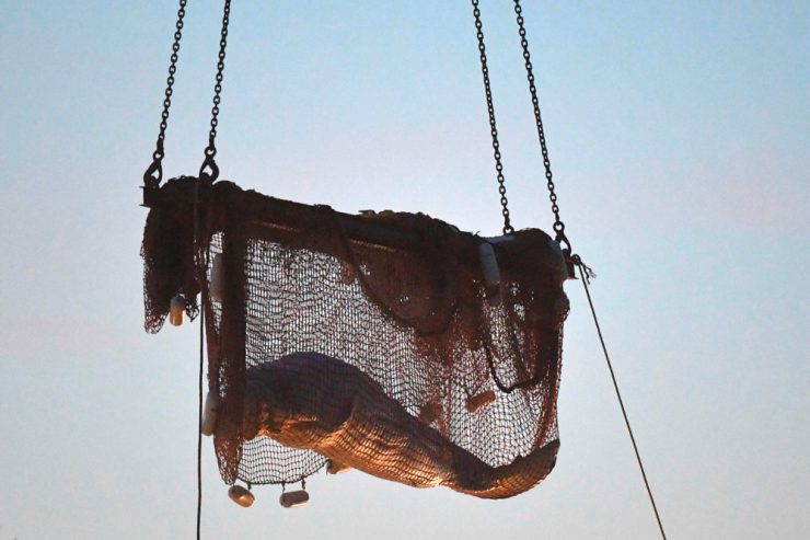 Paris / Kein Happy End für Moby-Dick in der Seine – Belugawal stirbt bei Rettung