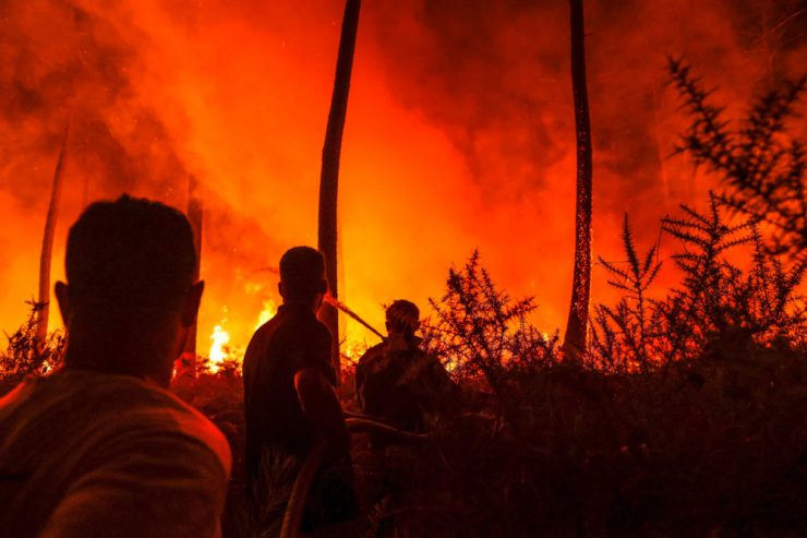 Europäische Länder / Frankreich erhält Unterstützung im Kampf gegen Waldbrände