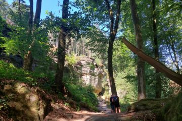Sommerserie / Unsere Lieblingsorte (9): Ein Spaziergang im Beforter Wald lässt den Alltagsstress vergessen
