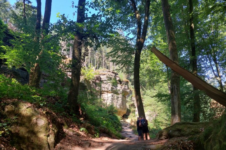 Sommerserie / Unsere Lieblingsorte (9): Ein Spaziergang im Beforter Wald lässt den Alltagsstress vergessen