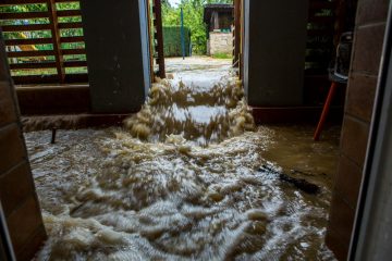 Flutgefahr / Warum der trockene Boden so katastrophale Folgen haben kann