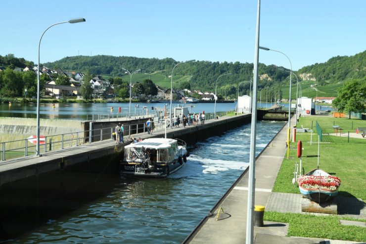 Trockenperiode / „Die Lage ist sehr ernst“: Wie das Niedrigwasser Luxemburgs Handel beeinträchtigt – und Fische in Stress versetzt