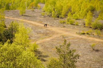 Sommerserie / Unsere Lieblingsorte (12): Die 1.000 Gesichter des Fond-de-Gras