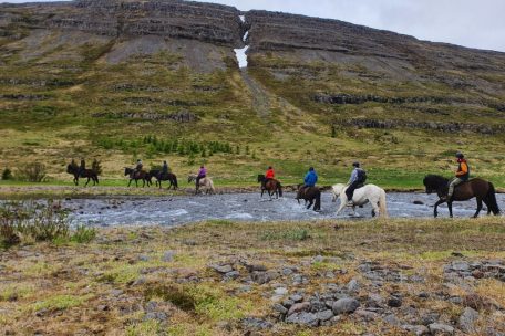 Die Islandpferde tragen die Reitergruppe sicher durch den Bach, der durch das Schmelzwasser im Juni deutlich reißender war als sonst