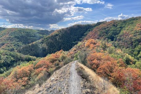 Sommerserie / Unsere Lieblingsorte (16): Wandern mit bester Aussicht auf dem „Autopédestre“ Hoscheid
