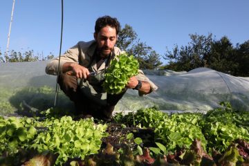 Die Erde pflegen und fair teilen / Die Gemüsebaugenossenschaft „Terra“ betreibt solidarische Landwirtschaft