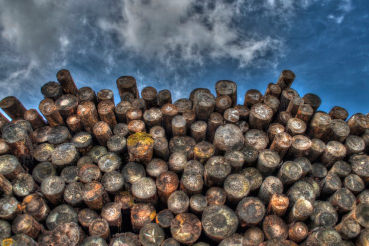 Unternehmen / „E-Holzhaff“ ist die neue digitale Plattform für die Holz-Wirtschaft der Großregion