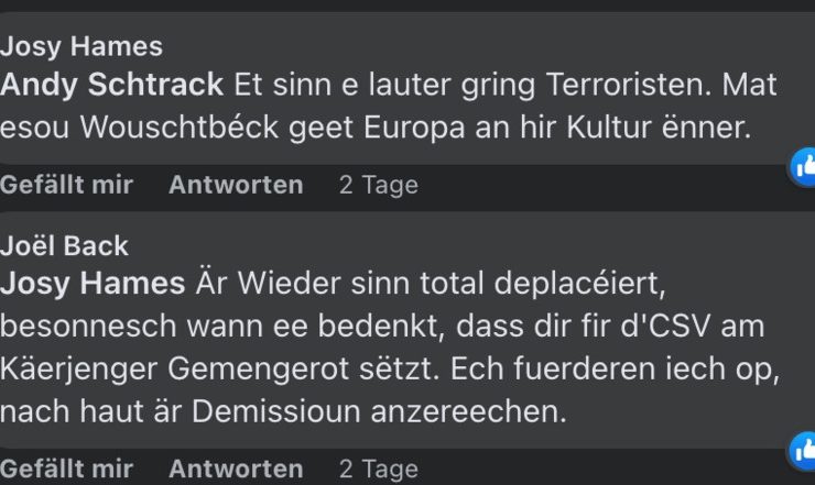 Soziale Medien / Verbale Entgleisung: CSV-Gemeinderat bezeichnet Grünen-Jugend als „gring Terroristen“ und „Wouschtbéck“