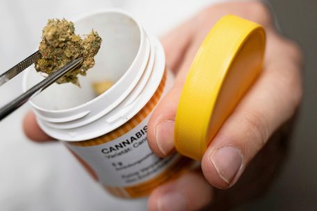 Deutschland / Bewegung bei der Cannabis-Legalisierung