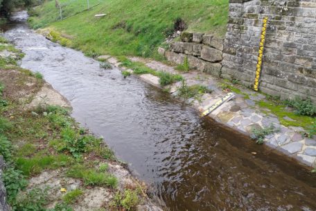 Die Blees in Bastendorf erholt sich langsam wieder