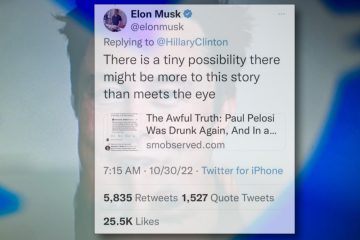 Medien / Kritiker sehen sich bestätigt: Elon Musk verbreitet Verschwörungstheorie auf Twitter