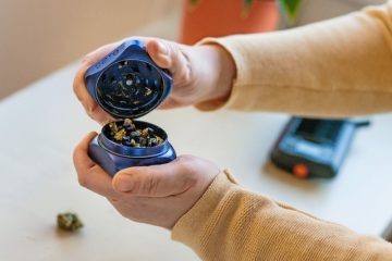 Cannabis / Darum ist Vorsicht beim „legalen High“ geboten