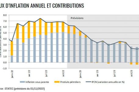 Die Entwicklung der Inflationsrate in den letzten Monaten und die erwartete Entwicklung in den kommenden Monaten