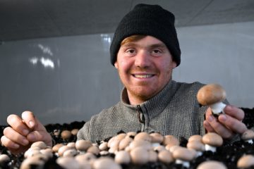Pilzanbau / Jeff und die „Champs vu Glabech“: Wie sich ein junger Landwirt ein zweites Standbein aufbaut