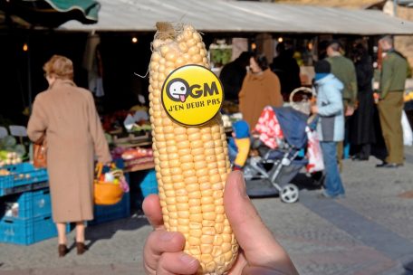 Weltweit gibt es fast doppelt mehr GMO- wie Bio-Bewirtschaftung