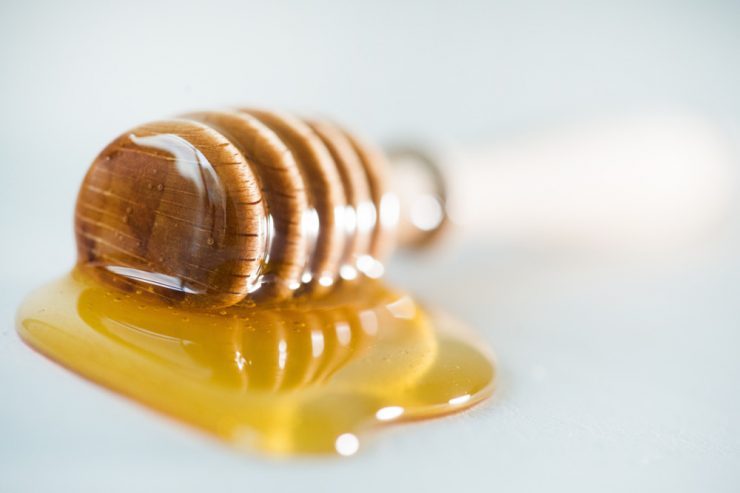 Ratgeber / Bienenseuche: Darum sollte man leere Honiggläser ausspülen