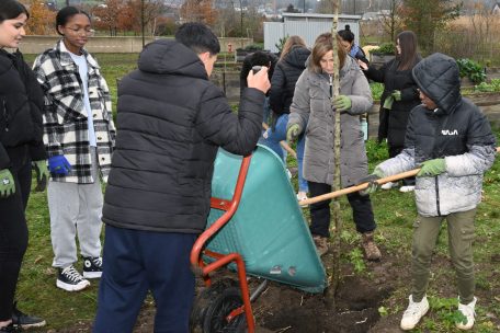 Ein Schüler füllt mit der Schubkarre frische Komposterde in das Loch