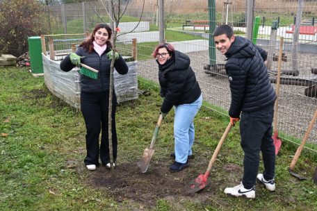 An die Schaufel, fertig, los!