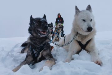 Doku „The Law of 3“ erscheint / Kungsleden-Expedition: Dreimal ist Raphaël Fiegens Recht