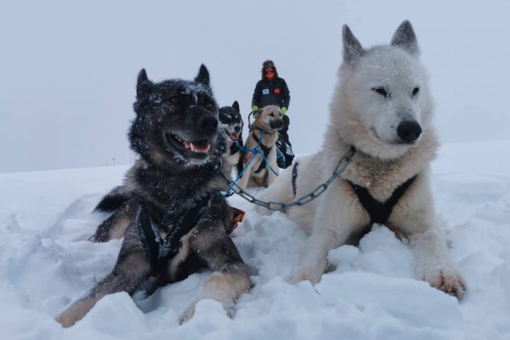 Doku „The Law of 3“ erscheint / Kungsleden-Expedition: Dreimal ist Raphaël Fiegens Recht