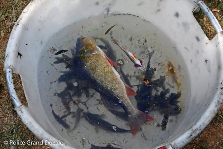 Wo ist Bianka? Bei der Spurensuche nahe einem Weiher in Linger wurden nur Schrott und tote Fische gefunden. Von Baby Bianka keine Spur.