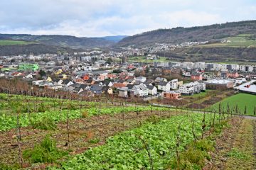 Gemeindepolitik  / Mertert-Wasserbillig legt rasantes Wachstum hin 